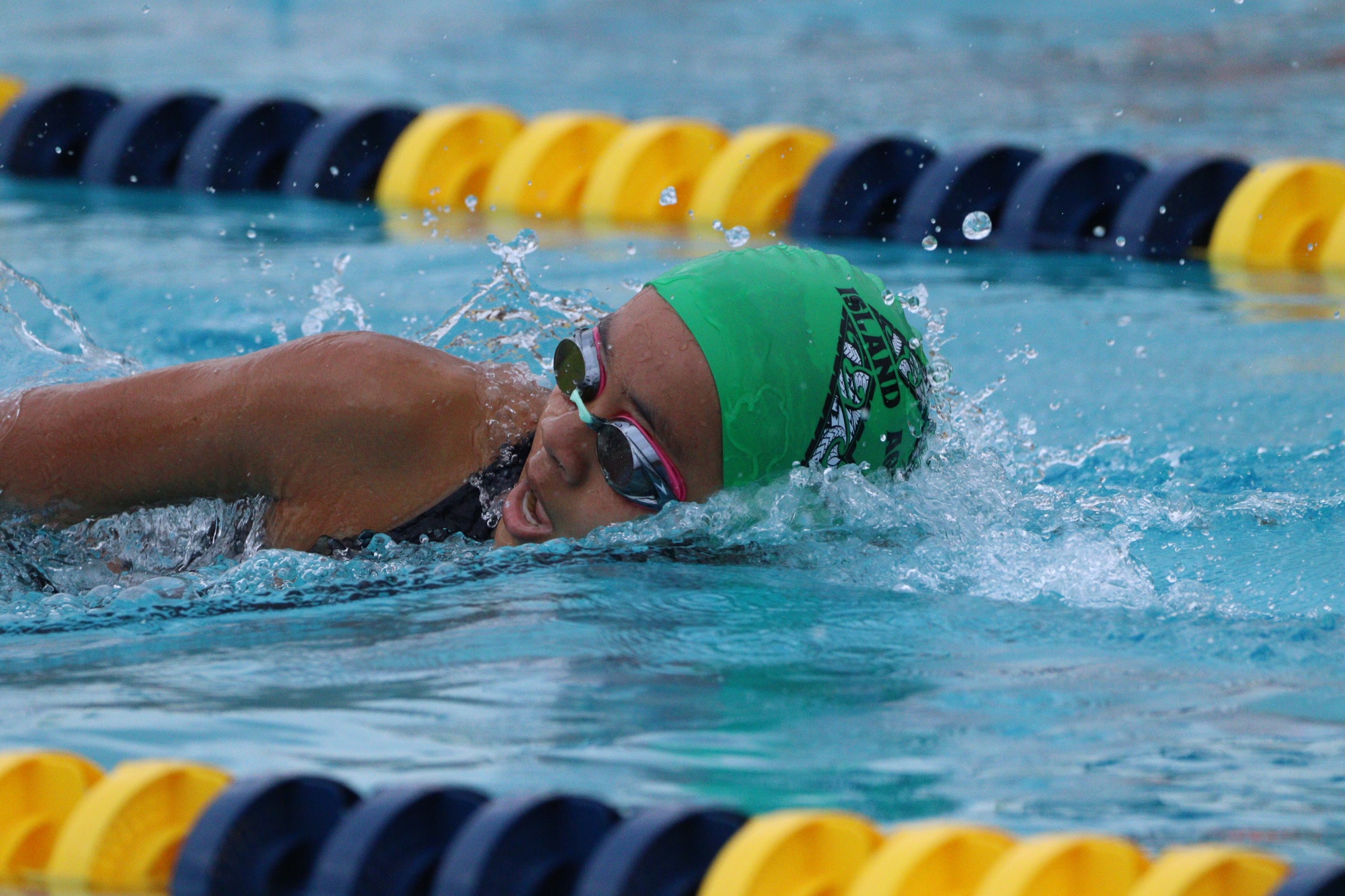 Island Aquatics Home Island Aquatics Home